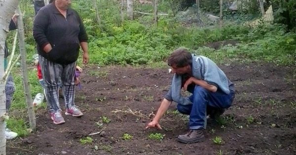 Huertas: capacitaron a vecinos de Parque Hermoso en el uso de la tierra