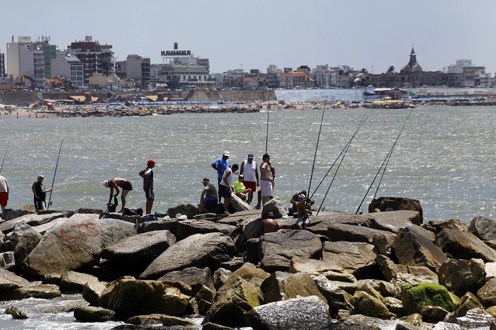 Se realiza el 3º Torneo de Pesca “Ciudad de Mar del Plata”