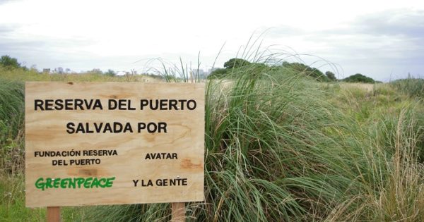 Reserva del Puerto: colocaron un cartel que afirma que fue “salvada”