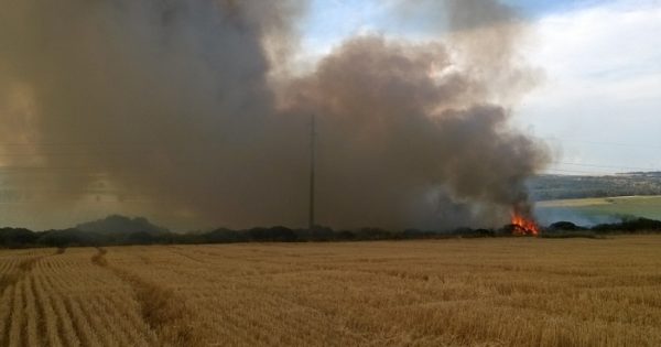 Incendio en El Boquerón: 15 horas de trabajo para controlar el fuego