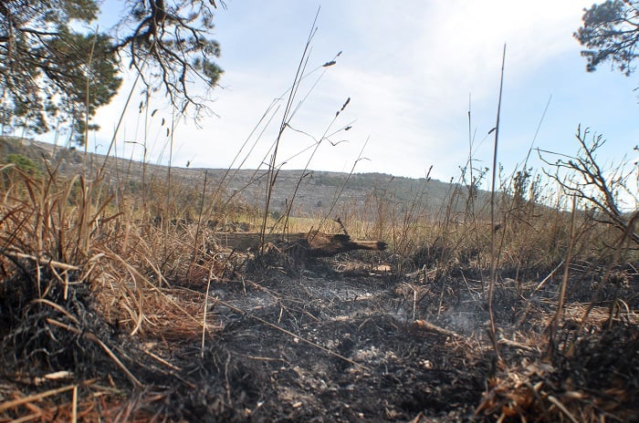 Otra vez fuego en Sierra de los Padres: se incendió una estancia