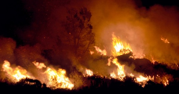 Sierra de los Padres: el incendio consumió más de 300 hectáreas