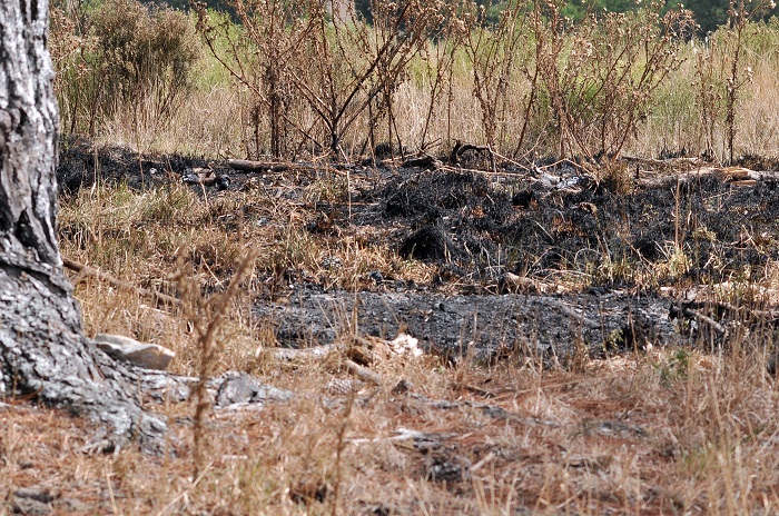 Chapadmalal: vecinos denuncian “incendios intencionales”