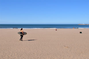 Insisten con exceptuar la práctica de surf en Mar del Plata