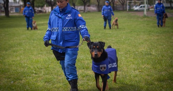 Preparan a los perros que acompañarán a los policías locales