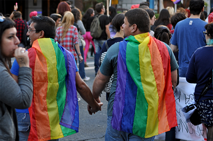 Matrimonio Igualitario: “Se transformó en una ley por los derechos de diversidad sexual”