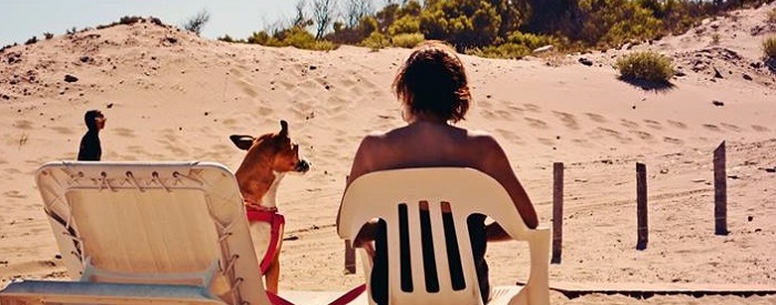 Playa canina: un verano de perros aún sin respuesta del Concejo
