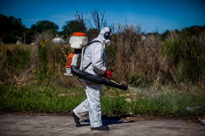 “No hay presencia del mosquito del dengue en Mar del Plata”