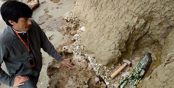 Una mujer halló restos fósiles de un mastodonte en la playa