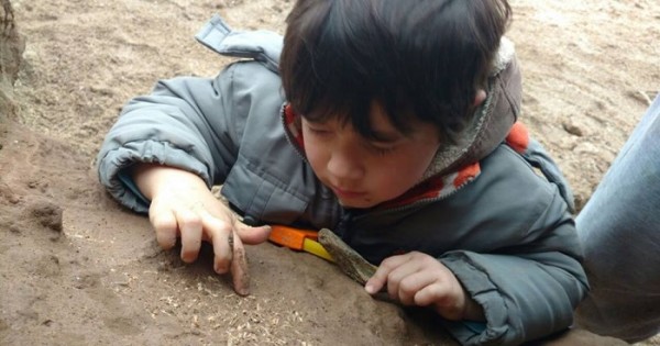 Tiene 4 años y encontró restos fósiles de más de 500.000 años