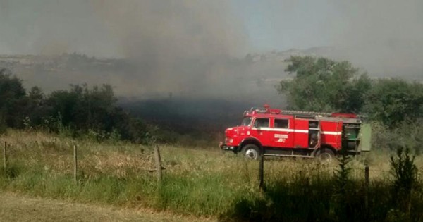 Controlaron el fuego en Sierras: más de 200 hectáreas afectadas