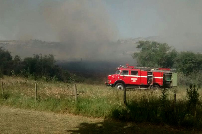 Controlaron el fuego en Sierras: más de 200 hectáreas afectadas