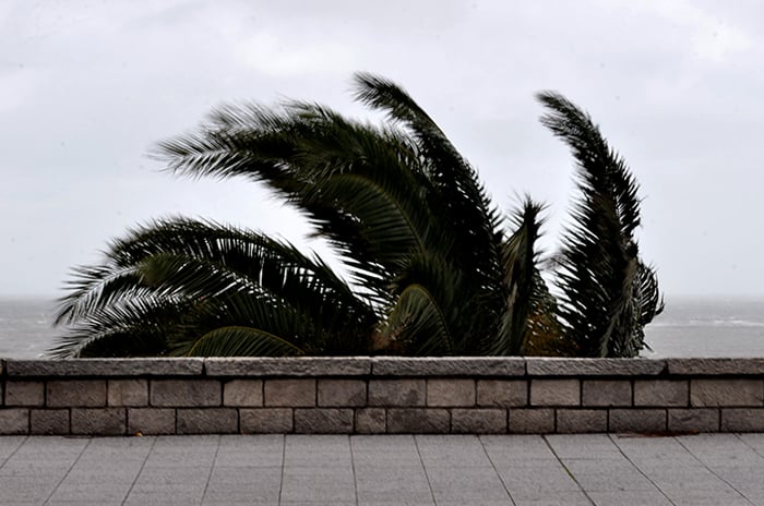 Está vigente un nuevo alerta meteorológico por vientos fuertes en Mar del Plata