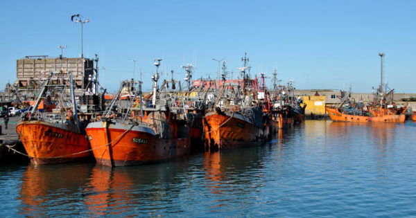 Puerto: “Nos vedarán el 70% de la plataforma submarina pesquera”