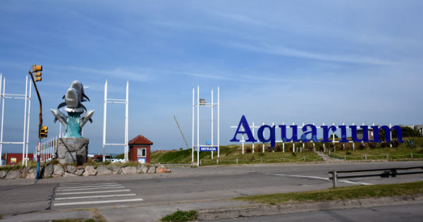 Se incendió un puesto de comidas en el Aquarium de Mar del Plata