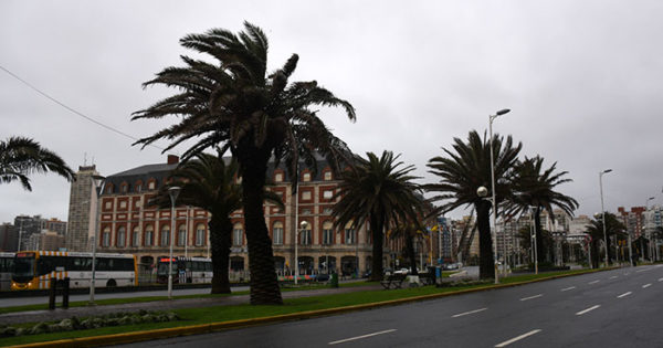 Rige un alerta por vientos intensos en Mar del Plata y la región