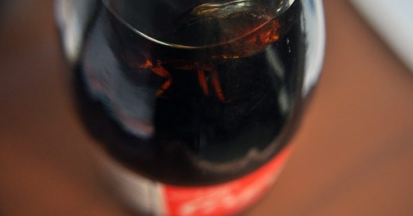 Coca Cola, a “juicio oral” por una botella con una cucaracha adentro