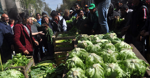 Productores de verdura realizarán un “feriazo” en el Municipio