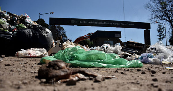 La basura, en crisis: piden interpelar a Leitao y Mourelle