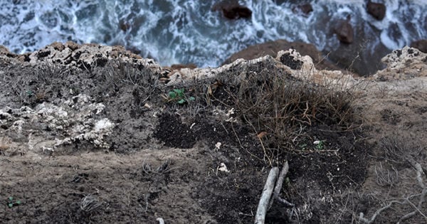 Playas: le piden al gobierno que haga inspecciones periódicas