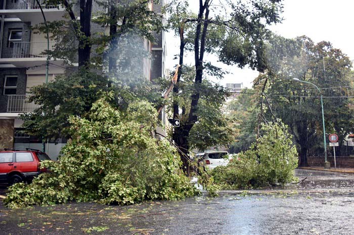 Diluvio, fuerte viento, granizo, árboles caídos y calles anegadas