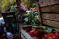 Un verdurazo con “precios justos” para apoyar el proyecto de El Marquesado
