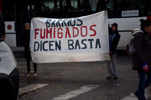Agroquímicos: denuncian una nueva fumigación ilegal en El Marquesado