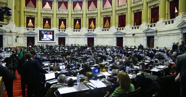 Aborto legal, media sanción: el voto de los diputados marplatenses