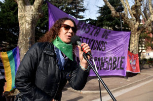 Ley de cupo laboral travesti trans: “Hoy Argentina es un país más justo que ayer”