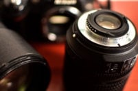 Convocan a participar de las becas de fotoperiodismo “Proyecto Ballena 2022”