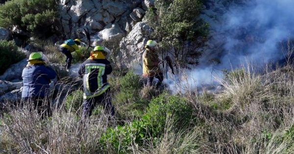 Incendio forestal consumió casi 30 hectáreas en Sierra de los Difuntos