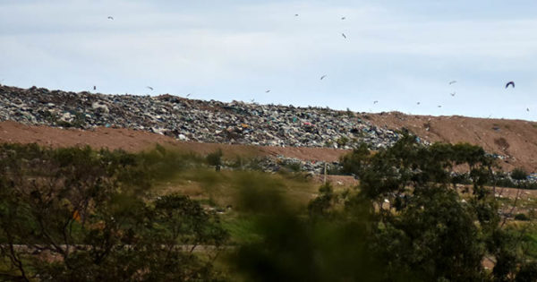 D’Andrea defendió el estado del basural: “No es cierto que es una montaña de basura”