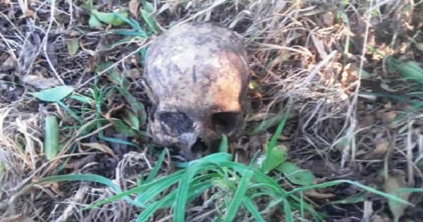 Investigan el hallazgo de restos humanos en la Ruta 11