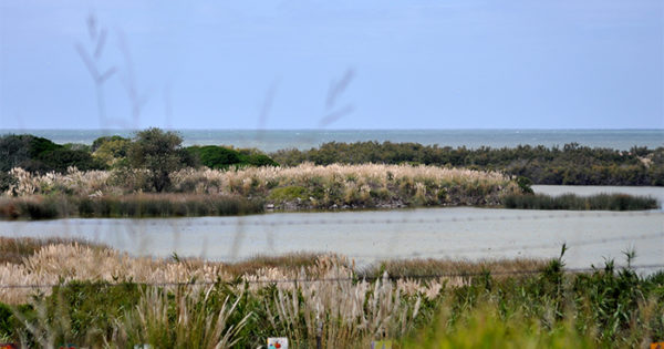 Según Greenpeace, “la Provincia cumple” con la Reserva del Puerto