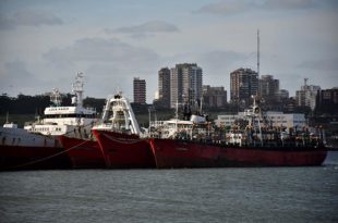 Langostino: empresarios pesqueros celebraron el acuerdo comercial con Brasil