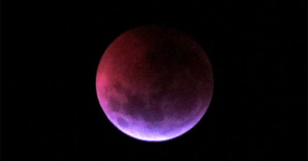 El primer eclipse lunar de 2019, también desde Mar del Plata
