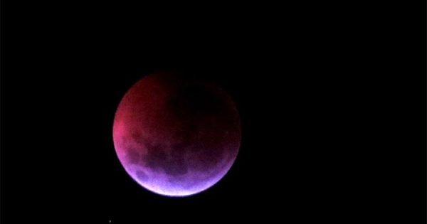 Luna de sangre 2021: ¿cómo se podrá ver el eclipse lunar en Mar del Plata?