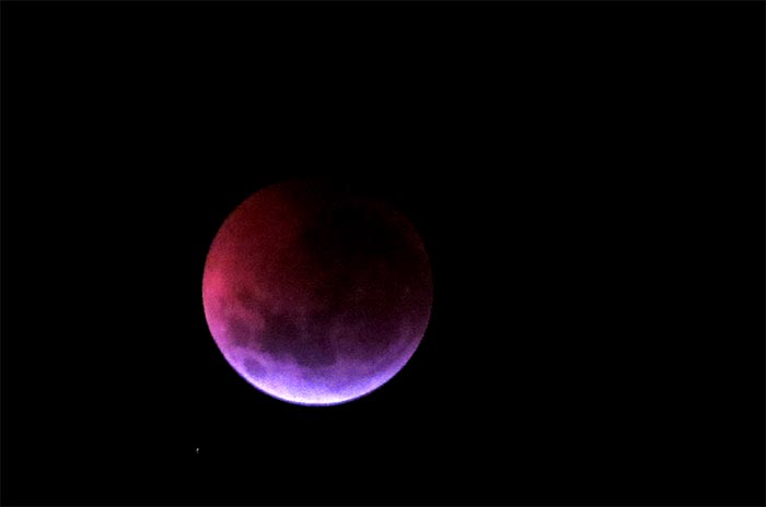 Luna de sangre 2021: ¿cómo se podrá ver el eclipse lunar en Mar del Plata?