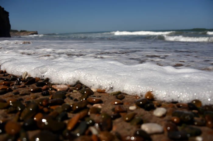 El Inidep explicó el fenómeno de las “algas” amarillas en las playas del sur 