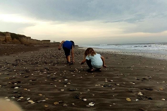 Una nena de 3 años halló un resto fósil en la playa