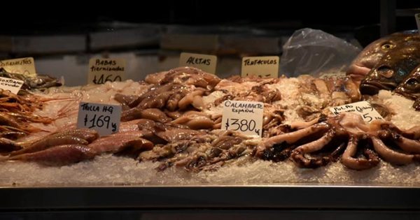 Científicos del Conicet demostraron “fraude” en la venta de pescado