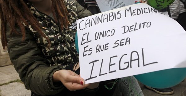 Marihuana: “Se necesita un acceso seguro al cannabis medicinal”