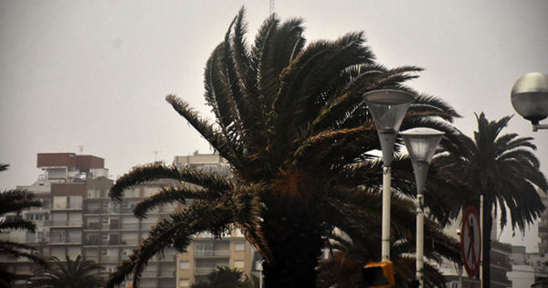 Rige un alerta por viento para las últimas horas del martes en Mar del Plata