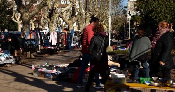 Feria de Plaza Rocha: “La ordenanza está frenada por la campaña”