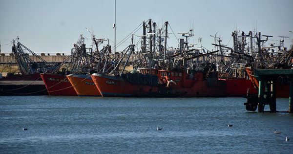 Puerto, flota paralizada: preocupación y pedidos a las autoridades gubernamentales