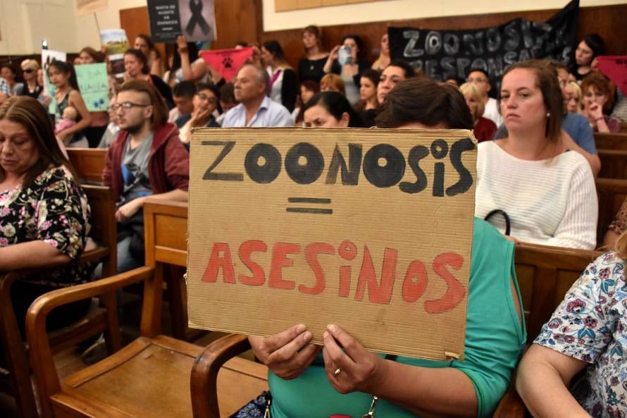 Zoonosis: ante la falta de respuestas, vuelven a pedir la intervención del área