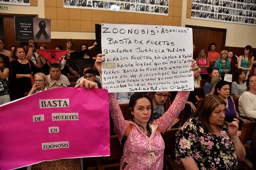 Zoonosis: tras las graves denuncias, inician un sumario administrativo