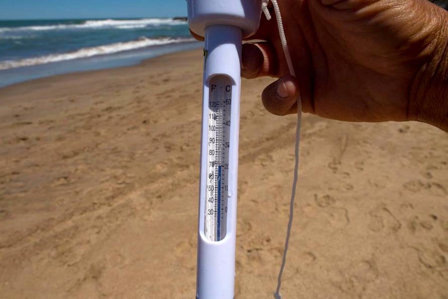 Miden indicadores en las playas para realizar una caracterización ambiental