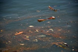 Contaminación pesquera: buscan reducir el abandono de redes y establecer multas