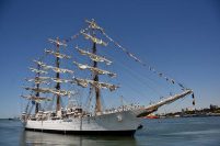 “Velas Latinoamérica”: la Fragata Libertad y grandes veleros llegan a Mar del Plata